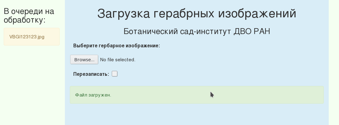 Файл успешно загружен и поставлен в очередь на обработку (пример)
