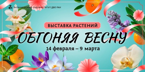 Изображение к новости от 13 февраля 2026 г. 13:18:18