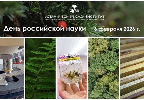 Изображение к новости от Feb. 6, 2026, 7:23 p.m.