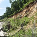 Берег после затопления_между Н-Качалинском и Турьим Рогом_фото Баркалова В.Ю.