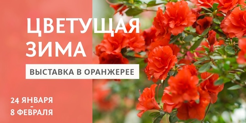 Изображение к новости от 22 января 2026 г. 15:03:09