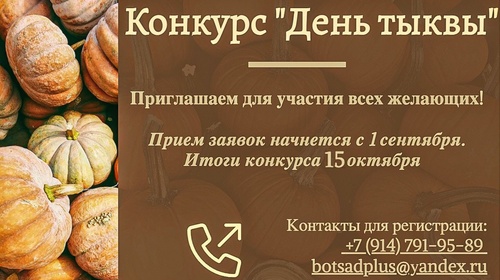 Изображение к новости от 1 сентября 2023 г. 18:19:29