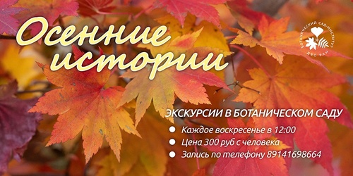 Изображение к новости от 5 сентября 2025 г. 15:29:02