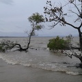 озеро Ханка / Lake Khanka, Khankaiskiy District