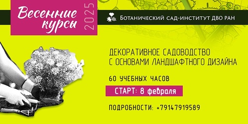Изображение к новости от 11 января 2025 г. 16:32:01