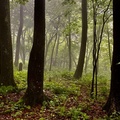 Районы, обследованные в ходе экспедиции 2023 года