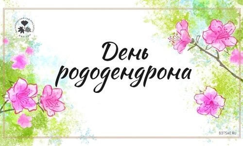 Изображение к новости от 1 мая 2026 г. 22:39:25