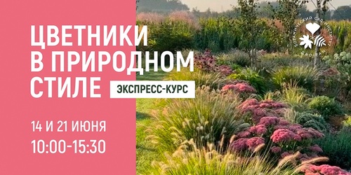 Изображение к новости от 26 мая 2025 г. 15:24:35