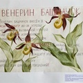 Гринько Анастасия