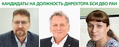 Изображение к новости от 4 апреля 2024 г. 16:00:39
