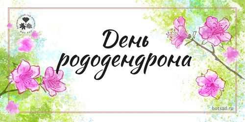 Изображение к новости от Feb. 7, 2026, 8:24 a.m.