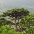 п-в Гамов / Peninsula Gamow, Khasanskiy District