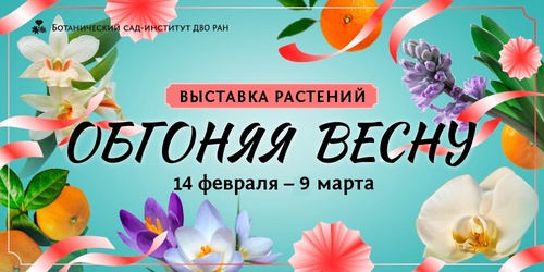 Изображение к новости от 9 февраля 2025 г. 9:25:02