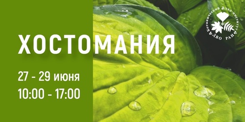 Изображение к новости от 25 июня 2025 г. 13:10:43