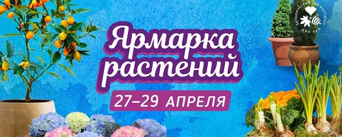 Изображение к новости от 17 апреля 2024 г. 20:34:46