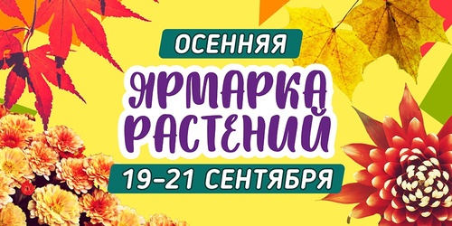 Изображение к новости от 9 сентября 2025 г. 14:16:04