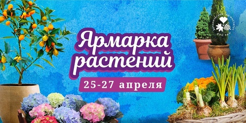 Изображение к новости от 24 апреля 2025 г. 20:54:43