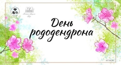Изображение к новости от 19 мая 2025 г. 21:33:51