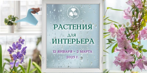 Изображение к новости от 4 декабря 2024 г. 13:44:10