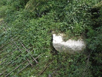 На территории Ботанического сада можно обнаружить и бетонные основания столбов 